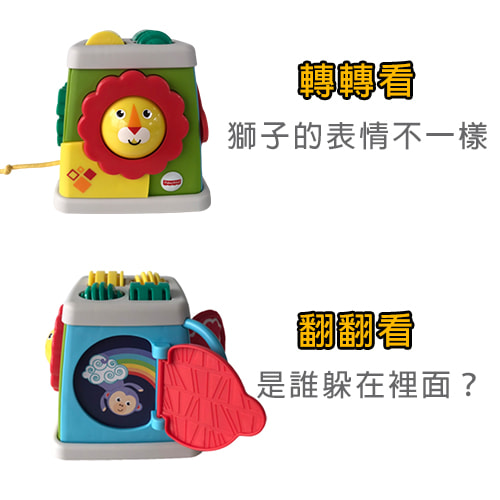 【費雪 Fisher Price】輕便遊戲學習盒-租玩具 (3)-jKPid.jpg